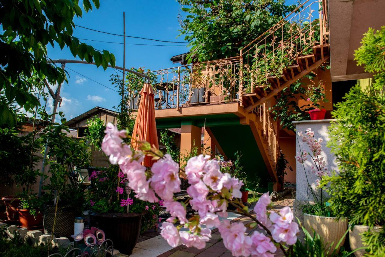 Casa De Sub Magura Hotel Simeria Exterior photo