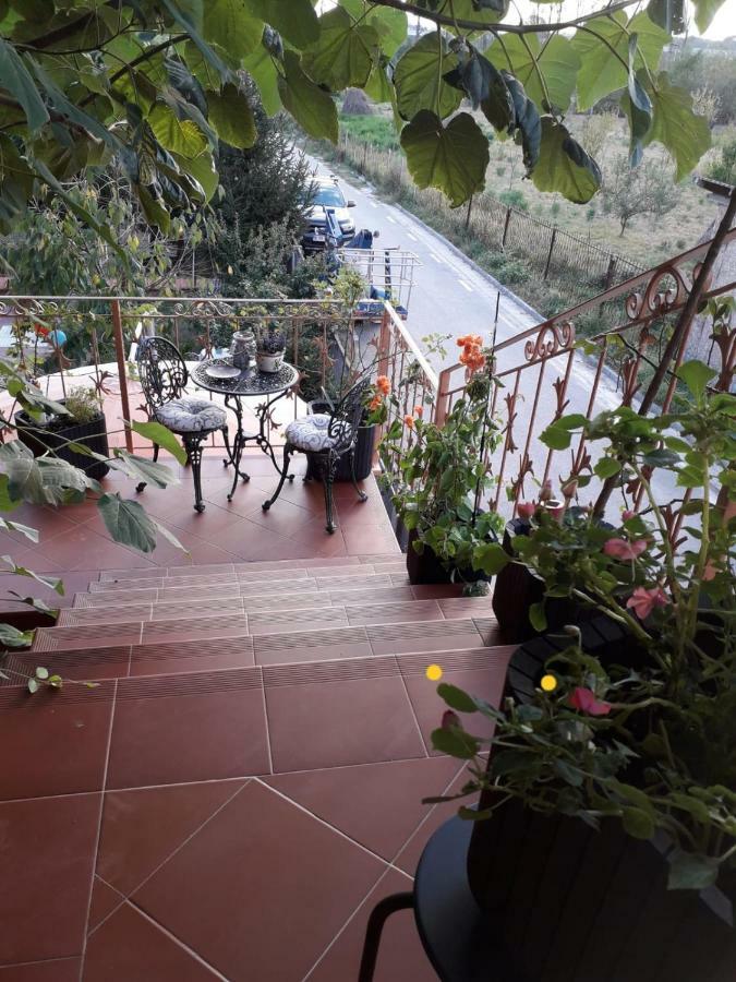 Casa De Sub Magura Hotel Simeria Exterior photo
